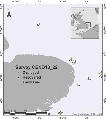 Microplastics in sea surface waters in the Southern Bight of the North Sea